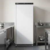 Armoire réfrigérée positive blanche - 600 Litres / GOLDINOX