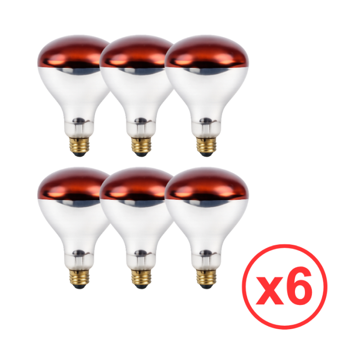 Lot de 6 ampoules chauffantes Rouges incassables E27 (250W) pour lampe chauffante infrarouge LCH PREMIUM - GOLDINOX
